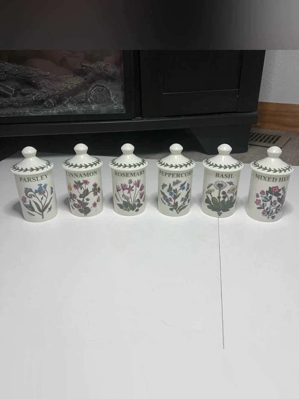 Portmeirion Botanical Herb Porcelain Spice Jars in White and Green